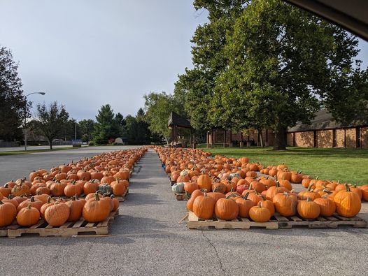 Pumpkin Gallery